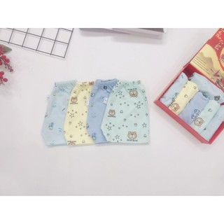 set 5 Quần đùi chục cotton cho bé