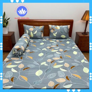 [ 40 mẫu M6/M8 mới nhất 2025]Bộ drap ga giường thun lạnh hàn quốc CAO CẤP -  dành cho nệm dày  3-18cm