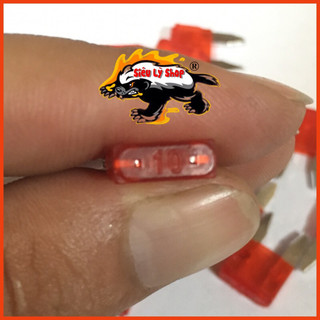 Cầu chì xe máy 10A loại nhỏ(túi 5 cái)
