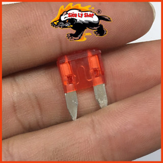 Cầu chì xe máy 10A loại nhỏ(túi 5 cái)