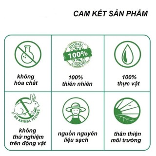 Chai 100ml- Tinh Dầu Gỗ Xá Xị (Gù Hương) nguyên chất - Thơm phòng.Tặng kèm quà.