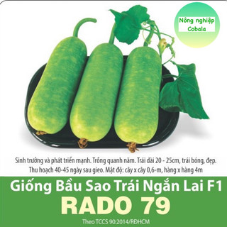 Hạt Giống Bầu Sao Trái Ngắn Lai F1 (RADO79) 2gr