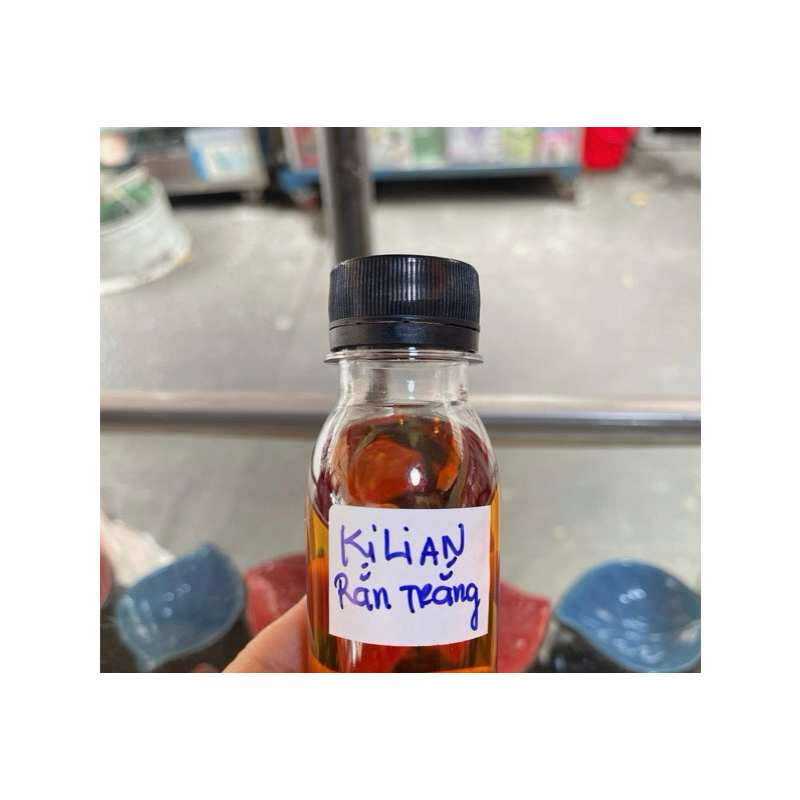 Tinh dầu thơm KILIAN (rắn Trắng )100 g