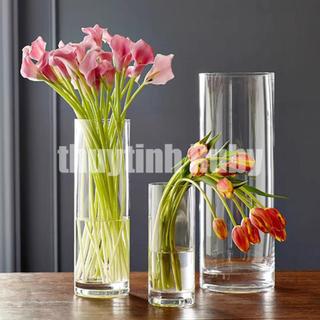   Nhiều mẫu  Bình hoa thủy tinh trụ tròn Lọ cắm hoa hình trụ trang trí lọ hoa thuỷ tinh trơn lọ thuỷ tinh decor 