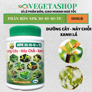 PHÂN BÓN LÁ NPK 30-10-10 + TE GÓI 25g, HŨ 100gr, HŨ 500gr -bung đọt, nảy chồi non, xanh lá VEGETASHOP