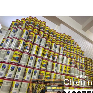 Thức ăn cao cấp cho cá cảnh Tetra Color XL Tropical granules tăng cường sức khoẻ và màu sắc rực rỡ [Tetracolor hộp 300g]