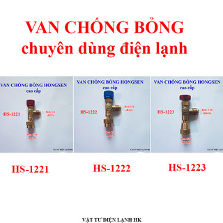 Van chống bỏng Gas R410 - R22 HONGSEN - thường ga 22 410 32