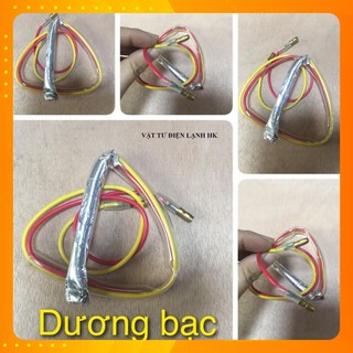Combo 2 Dương Bạc (Cảm Biến Nhiệt Độ Ở Tủ Lạnh)