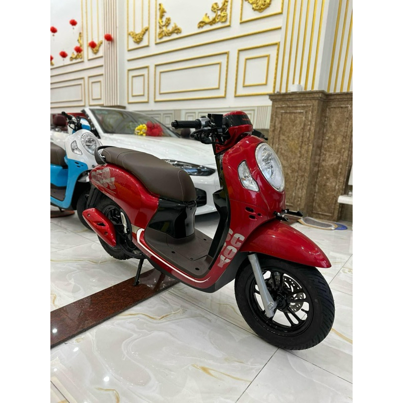 Tem Scoopy