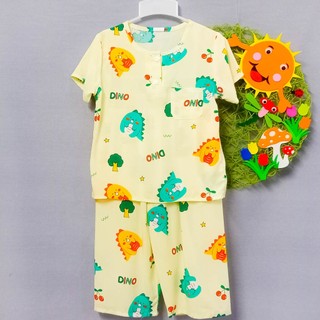 [13-15kg] Bộ tole quần dài tay ngắn bé trai 13-15kg