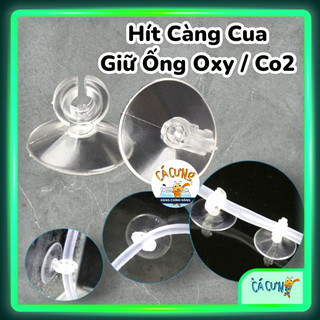 Nút hít giữ ống oxy, co2 | hít càng cua giữ cốc sủi co2, oxy hồ cá chống gập dây