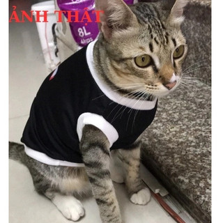 ÁO TIKTOK CHO THÚ CƯNG CỰC CUTE