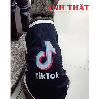 ÁO TIKTOK CHO THÚ CƯNG CỰC CUTE