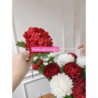 Hoa Giả Hoa Cúc Mẫu Đơn Lụa Nhập Khẩu Loại 1 Cao Cấp Cúc Đại Đóa Trang Trí Nhà Cửa Hoa Lụa Mơ Bơ