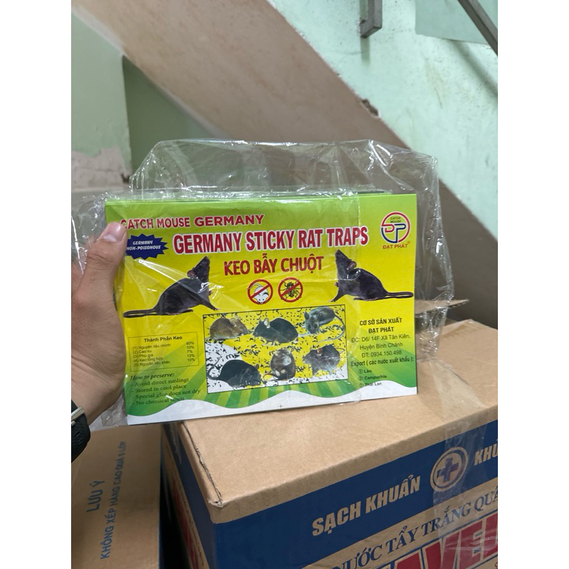 Combo 10 miếng keo dính chuột