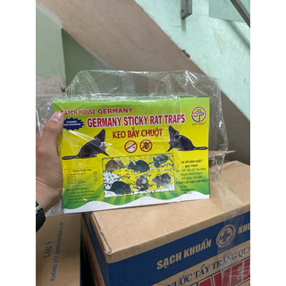 Combo 10 miếng keo dính chuột