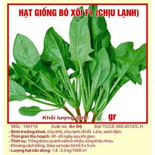Hạt giống rau bó xôi F1