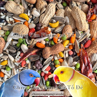 1kg hạt hỗn hợp hoàn chỉnh cho Vẹt: Ngực hồng, Xích, SunConure, Monk...