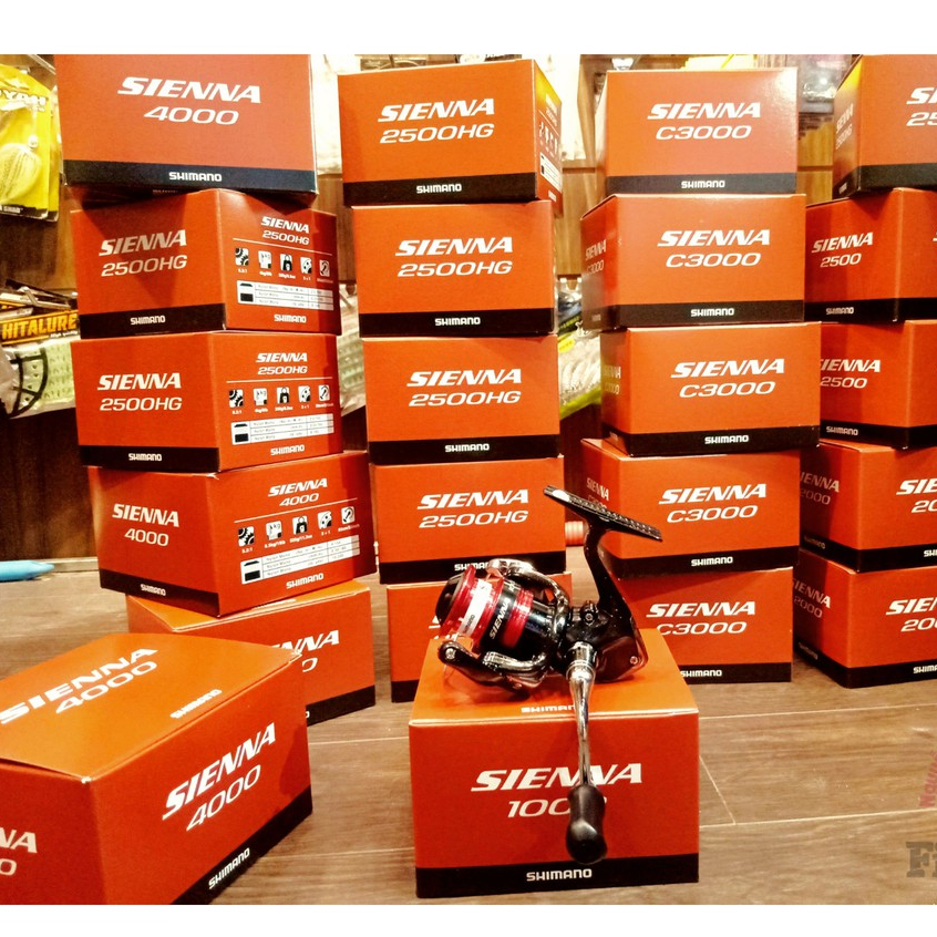 máy câu cá shimano Sienna giá rẻ