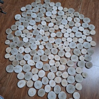 lát gỗ đã bóc vỏ dùng decor trang trí
