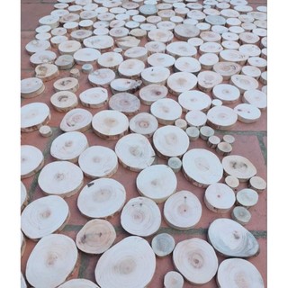 lát gỗ đã bóc vỏ dùng decor trang trí