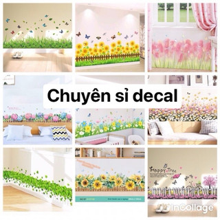 Decal Dán Tường Chân cỏ kèm kích thước