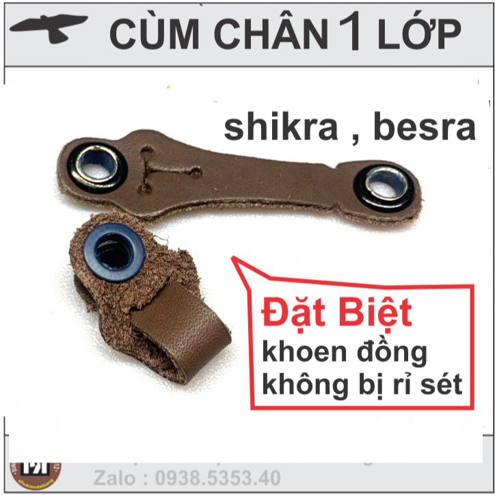 Cùm chân chim ưng (Anklest )