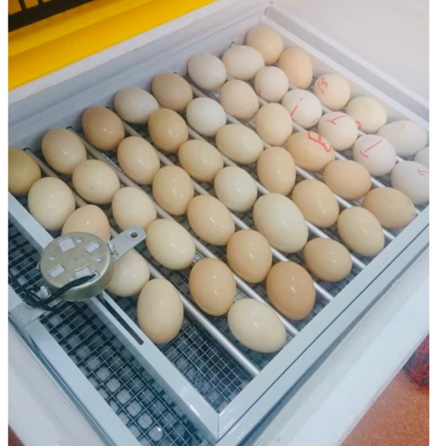 2 khay đảo trứng tự động khay nhôm đảo lăn số lượng 108 trứng (dùng cho máy ấp trứng)