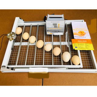 [Mã 99ELHA giảm 7% đơn 300K] Máy ấp trứng Ánh Dương Đảo Tự Động 56 Trứng - Máy Ấp Trứng gà mini Ánh Dương p100