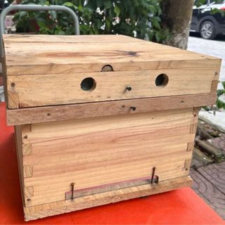 Thùng trệt gỗ nuôi ong mật ngoại ( ong Ý) tầng kế, thùng tầng tháo rời - Tagri