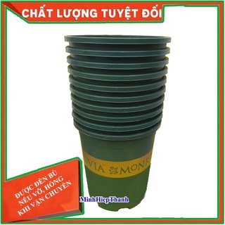 combo 10 chậu Chậu Nhựa Trồng Cây cỡ số 5