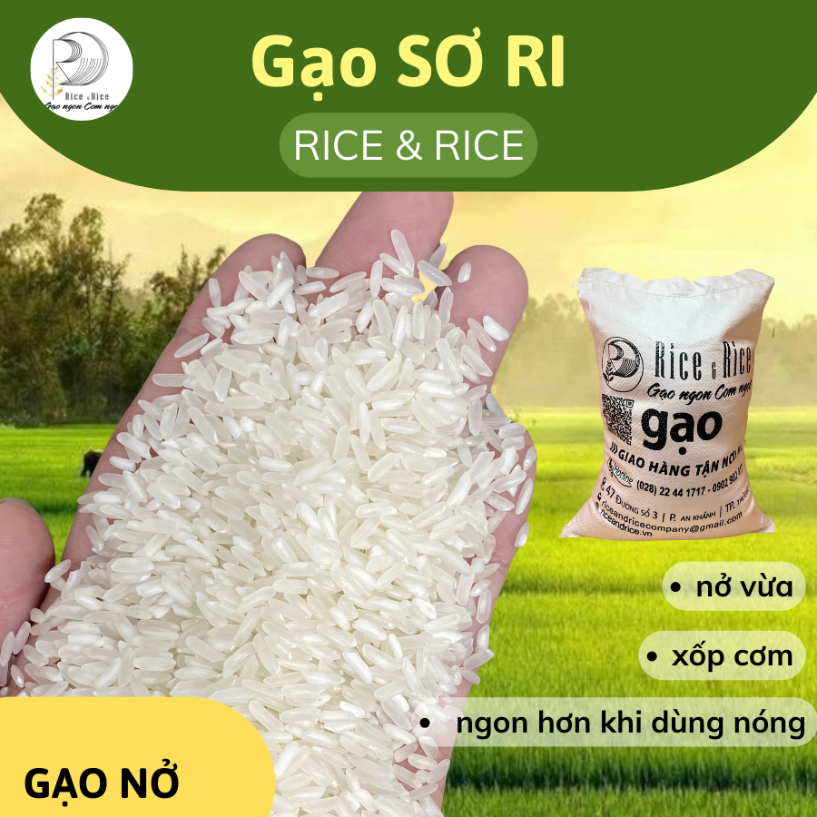 TÚI GẠO SƠ RI DÙNG THỬ 1KG - GẠO XỐP NỞ- Cơm Xốp, Nở và Món Chiên Cơm Tại Nhà Hàng