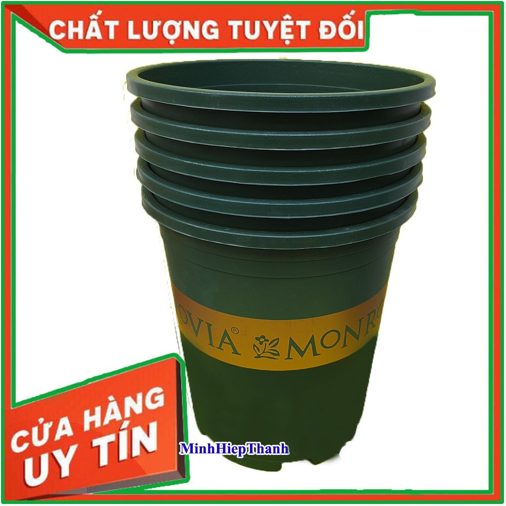 Combo 5 chậu  5gallon (5gal) chậu cỡ số 5