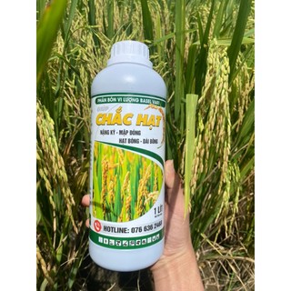 Phân bón chắc hạt, nặng ký, vô gạo nhanh, siêu to hạt chai 1 lít