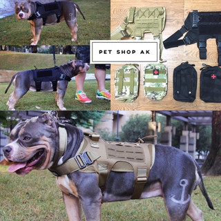 [Mã PET80K giảm 8% tối đa 80K đơn 350K] Đai lưng cáo cấp cho chó gắn được túi/ Đai yếm dắt chó bồ đội
