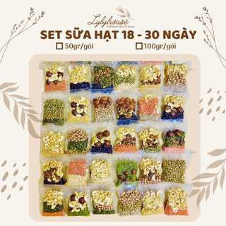 (TẶNG MUỐI HỒNG) Set hạt dinh dưỡng làm sữa (50-100gr) - mix sẵn 18-30 ngày