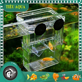 Lồng Đẻ Mica Cho Cá Guppy, Cá Mún, Cá Cảnh Nhỏ....