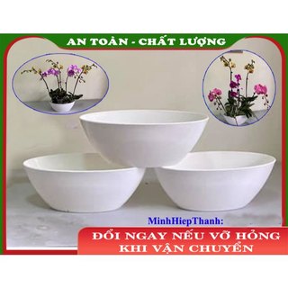 combo 5 chậu nhựa hình thuyền trồng lan hồ điệp, trồng hoa