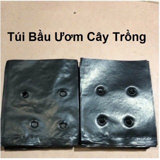  1kg TÚI ƯƠM CÂY GIỐNG NILON ĐEN - ĐỦ MỌI KÍCH THƯỚC - BẦU ƯƠM CÂY GIỐNG 