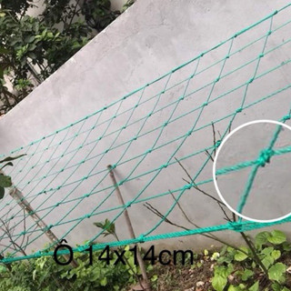 lưới giàn leo , lưới giàn bầu, bí (rộng 2x4m)
