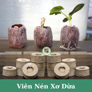 Combo viên nén xơ dừa ươm hạt giống cây trồng, giâm chiết cành siêu tiện lợi