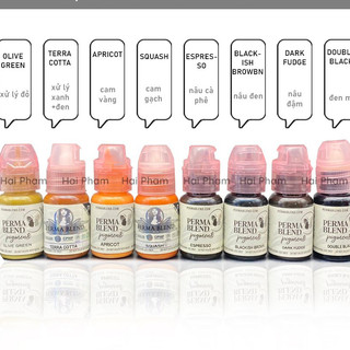 [CHÍNH HÃNG] Mực Perma Blend Mực Phun Xăm Chính Hãng, Mực Phun Xăm Mày Môi Mí