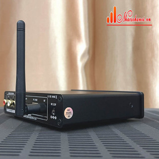 Giải Mã Suca Q5 Plus Dac 32 Bit Chất Lượng Cao - Hàng Chính Hãng  (Tặng Dây Av Canare Bãi Nhật Trị Giá 200.000 vnđ )