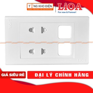 Mặt 2 ổ cắm + 2 lỗ LiOA [CHÍNH HÃNG], Nhựa TRẮNG - Tiếp điểm ĐỒNG