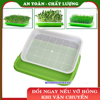 Khay trồng Rau mầm Thủy canh, Chậu trồng Rau mầm 2 lớp