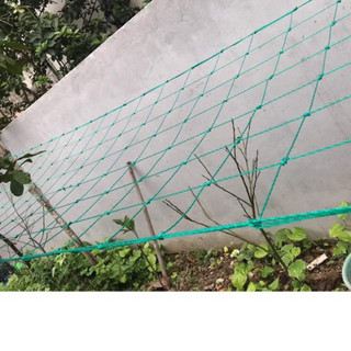 lưới giàn cây leo chất liệu sợi cước HDPE nhiều kích thước