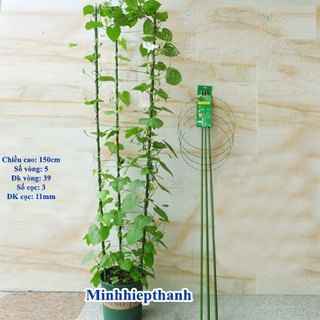 Bộ khung đỡ, giá đỡ hồng leo, hoa leo đa năng kích thước cao 150cm, 5 vòng