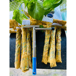 Búa đục dừa