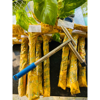 Búa đục dừa
