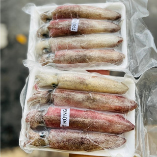 Giá Sỉ 1Kg Mực Trứng - Hải sản Kỳ Hà - Q12